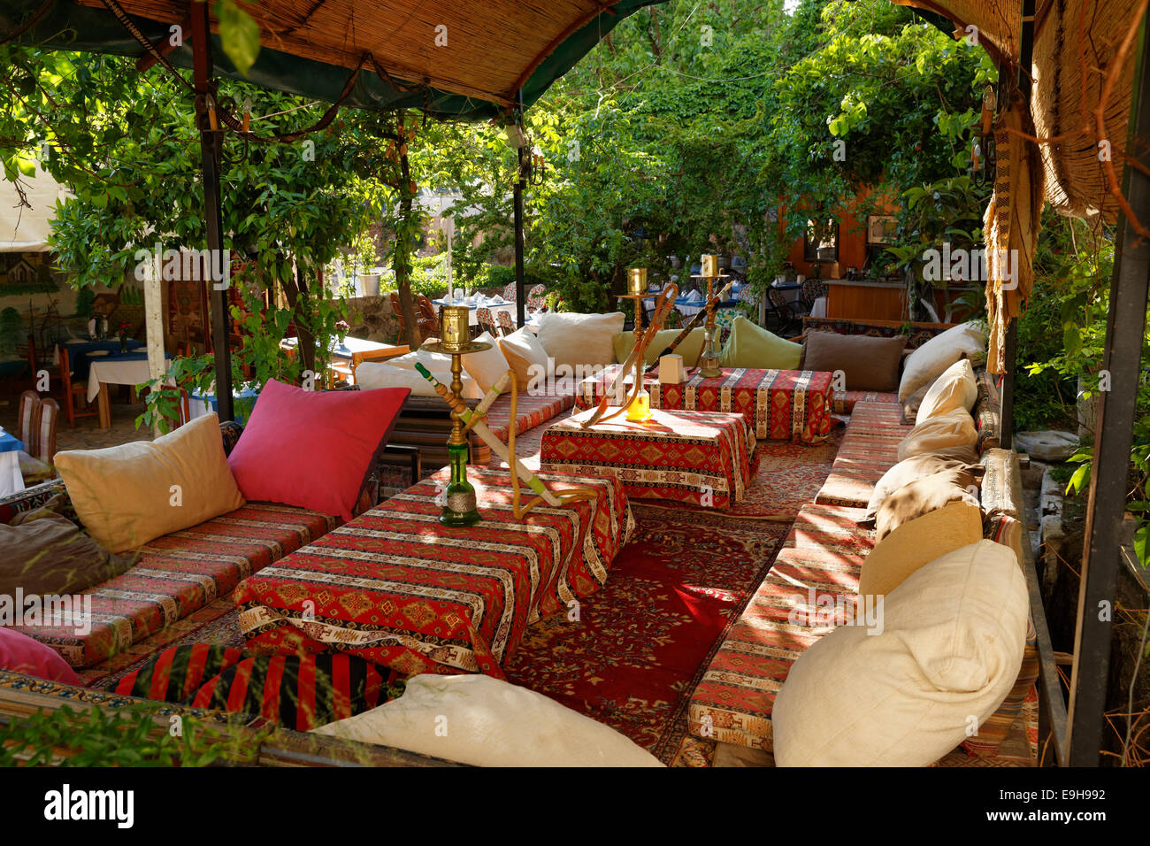 صورة 3